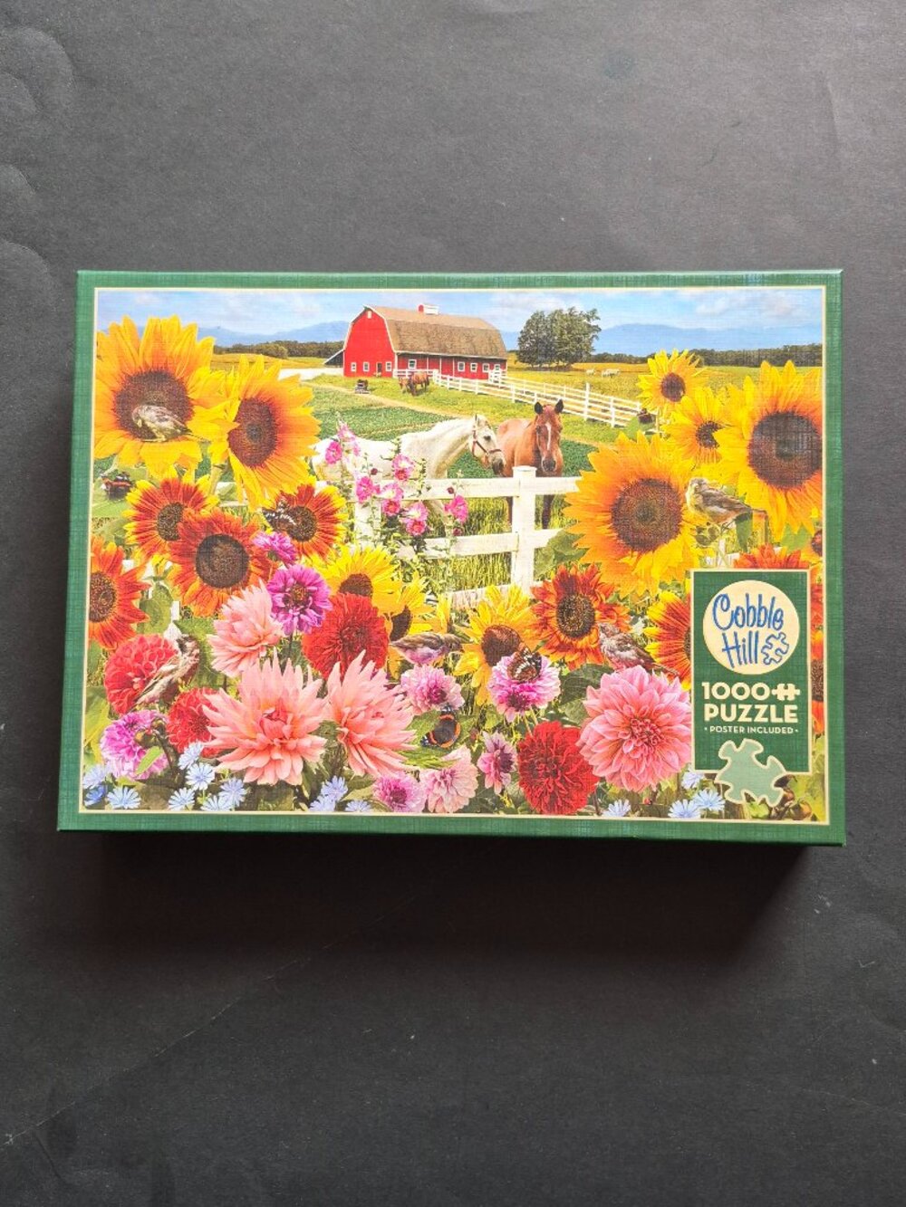 1000 Piece Jigsaw Puzzle